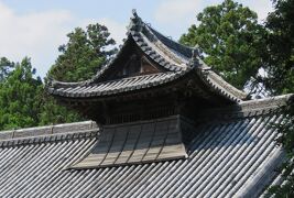 2016梅雨、東北のお寺(19/22)：7月1日(9)：松島・瑞巌寺(4）：庫裏、杉並木