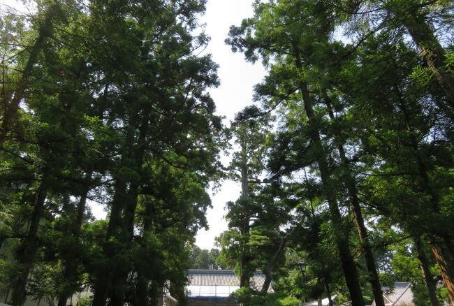 2016梅雨、東北のお寺(18/22)：7月1日(8)：松島・瑞巌寺(3)：、西国三十三観音像