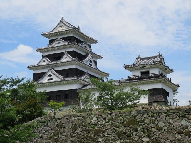 名古屋城の本丸や佐賀城の本丸など、さらには金沢城の河北門など、近年は、やっと鉄筋コンクリートのイミテーションではない城の本格的復元建築が見られるようになった。で、この大洲城が素晴らしいのは、天守の本格的復元を実現してしまったところだ！今回、愛媛県まで来る気になったのは、道後温泉だけが理由ではない。現存天守の宇和島城と松山城に加え、この大洲城の本格的復元天守までもまとめて見ることができるからだ。<br /><br />で、この大洲城は大きな町には見えないが、住民の方の寄付などにより建設されたとのこと。ヨーロッパを繰り返し見てきた経験で言えば、”貴重な文化財”は元のように修理復元するのが原則だ。完全破壊された場合もできるだけ本来の姿を守るのが基本となっている。ドイツなどほとんどオリジナルは破壊されている町でも、昔の様式に復元しているものが多い。名古屋城、大阪城、熊本城などは、もし、鉄筋コンクリートの外見だけの復元でなくて、本格的復元をしていたら、周囲の石垣、堀、櫓などの全体を加えると、世界文化遺産になれるものがあるのではないかといつも残念に思う。ただし、本格的復元には大変な資金と熱意と文化力を必要とするので、容易な話ではない。