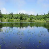 昆布温泉「杢の抄」に泊まってニセコの湖沼群を散策