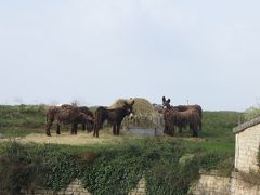 大西洋の港町ラ・ロシェルの熱い夏(2) 　暴風雨のイル・ド・レ(レ島)