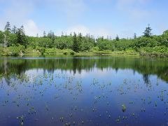 昆布温泉「杢の抄」に泊まってニセコの湖沼群を散策