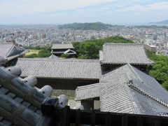 終日、松山観光