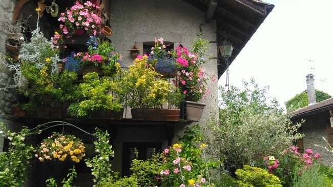 2016年6月25日（土）から7月3日（日）阪急トラピックスで<br />「JAL利用スイス・アルプス3大名峰と東フランスの花の村・美しい村をめぐる9日間」ツアーに参加しました。美しい山々・花々・村々、大好きなスーパー。幸せな日々でした。主な行程は下記の通りです。<br />１日目　6月25日（土） 羽田発10:35JL0045パリ着16:10   <br />　　　　　　　　　　    ディジョン着22:10      ホリデイインディジョン泊<br />２日目　     26日（日）  9:30ホテル発イヴォアール散策　アヌシー散策　<br />　　　　                      ベストウェスタンインターナショナル泊<br />３日目　     27日（月）  8:45ホテル発シャモニーへ　モンブラン観光　<br />　　　　                      テーシュヘ　　ツェルマットへ　シミ連泊<br />４日目　     28日（火）  早朝マッターホルン鑑賞　8:00ホテル発<br />                              ゴルナーグラート鉄道にてゴルナーグラート展望台へ　　　　　<br />　　　　                      自由行動<br />５日目　     29日（水）  8:30テーシュへ　モントルーへ散策　<br />　　　　                      ベルン市内観光　ラウターブルンネンへ　<br />                                  ウェンゲンヘ    ビクトリアラウバーホルン連泊<br />６日目　     30日（木）  7:45ホテル発ユングフラウ観光　自由行動<br />７日目　 7月 1日（金）  7:45ホテル発ラウターブルンネンヘ<br />                             　  コルマール・リクヴィル・ストラスブールへ　<br />                                  メルキュールパレデコングレス泊<br /> 8日目　      ２日（土）  7:50ホテル発　ストラスブール観光　パリへ<br />　　　　                     20:30JL0046帰国の途へ<br />９日目         ３日（日）15:25 羽田着