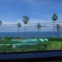 東伊豆・伊豆急列車に乗りました。そして車窓からの景色!!