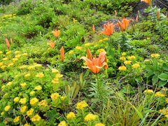 紺碧の海と夏の花が美しい種差海岸−後編（青森県八戸市）