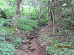 顕鏡寺の白蓮さんと石老山（７）登山開始。