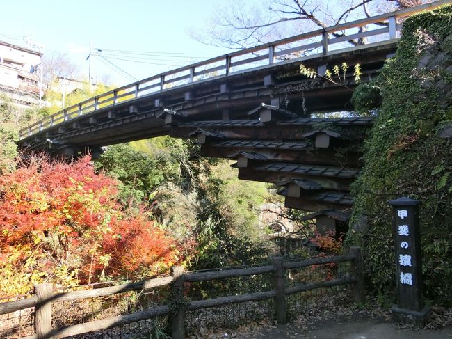 「猿橋」は「大月市猿橋町猿橋」にある「桂川」に架かる「日本三奇橋」の一つと数えられる「長さ３０.９ｍ」「幅３.３ｍ」「水面からの高さ３１ｍ」の「刎橋（はねばし）」です。<br /><br />「７世紀」に「百済の渡来人である志羅呼」によって造られたと言う伝説がありますが、現在のものは「１９８４年（江戸期の復元）」に造られたものです。