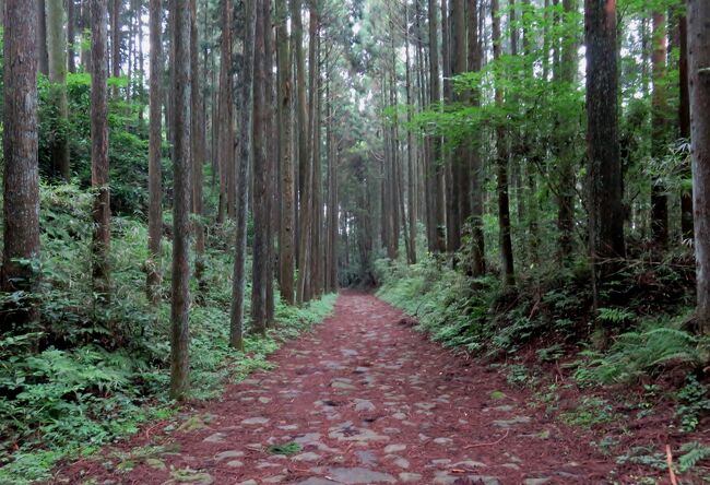 静岡県のお城巡りです。バスツアーに参加して6カ所を巡りました。山中城跡、興国寺城跡、駿府城、高天神城跡、横須賀城跡と掛川城です。