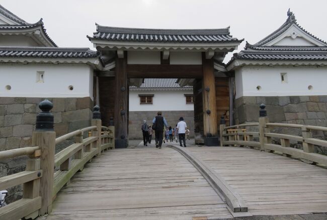 静岡県のお城巡りです。14世紀に室町幕府の駿河守護に任じられた今川氏によって築かれた、今川館が原点とされるお城です。晩年の家康の居城としても有名です。
