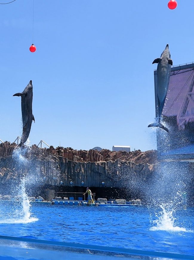 名古屋港水族館は、愛知県名古屋市港区の名古屋港ガーデンふ頭にある公立の水族館である。一部事務組合の名古屋港管理組合が設置し、指定管理者として公益財団法人名古屋みなと振興財団が管理・運営を行っている。<br />館内ではイルカをはじめ、シロイルカ（ベルーガ）、ペンギン、ウミガメなどが飼育・繁殖・研究されている。<br />1995年、屋内の人工産卵場で産まれたアカウミガメの人工孵化に成功。<br />ペンギンの保護･研究･繁殖　シロイルカ（ベルーガ）の研究・繁殖<br />2003年10月よりシャチの飼育が開始された。飼育は「クー」に始まり、「ナミ」、「ステラ」、「ビンゴ」、「ラン」と続き、2012年11月13日には「ステラ」の仔が産まれた。<br /><br />名古屋港水族館北館北館竣工 - 2001年<br />構造 - SRC造、RC造、S造　規模 - 地上4階<br />建築面積 - 10,420.18 m2　　延床面積 - 21,707.15 m2<br />総水量 - 約24,600 t（野外水槽を含む）<br /><br />1992年- 名古屋港水族館（南館）が竣工　1992年10月 - 開館<br />2001年- 世界最大級の野外水槽を持つ北館が竣工　2001年11月 - 北館開館<br />（フリー百科事典『ウィキペディア（Wikipedia）』より引用）<br /><br />名古屋港水族館　については・・<br />http://www.nagoyaaqua.jp/index.html<br />