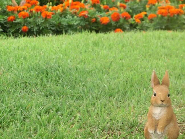 この度は、１泊２日にて山陰（鳥取・島根）へ行ってきました！<br />目的はただ１つ、『足立美術館』です。<br />往復出雲空港を利用し、宿泊は米子にしました。（移動はレンタカー）<br /><br />足立美術館へは２日目に行くことにして、まずは１日目。向かった先は・・・<br />