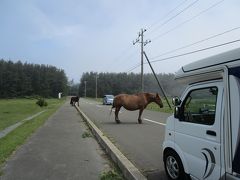 車中泊　2016北海道　まいど函館から観光よりも食の旅