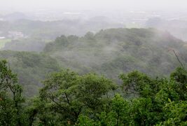 2016梅雨、静岡県の名城(11/20)：7月9日(2)：高天神城(2)：かな井戸、袖曲輪、二の丸