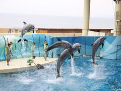 暑い日には、そうだ、水族館へ行こう！　新江ノ島水族館