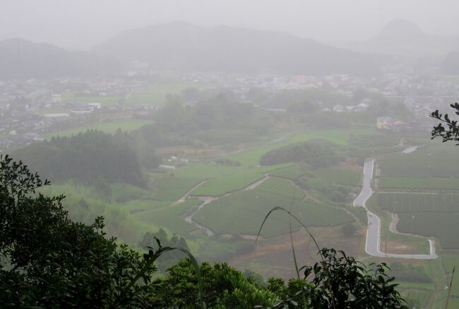 2016梅雨、静岡県の名城(13/20)：7月9日(4)：高天神城(4)：本丸、横須賀城(1)：本丸