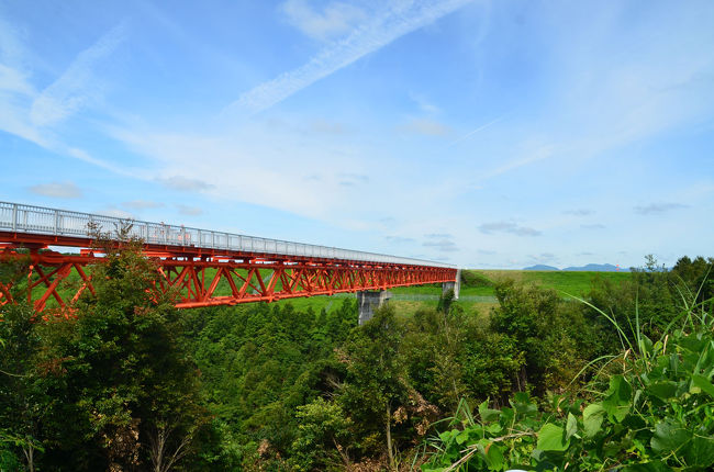 藤枝市の蓮華寺池公園から富士山静岡空港に来ました。<br />富士山静岡空港には、何度か来ていますが“石雲院展望デッキ”がメインです。毎回同じところではつまらないので今回は違う場所でも撮って見たくなりました。<br />そこで、空港トンネルの南側で開港した頃に来た場所がカーナビに登録されていたのでそれを頼りに走って来ました。狭い道を上って行くと“だいだらぼっち公園”と言う公園に出ました。また、その公園の前の道は“空の道”の名称が…。<br /><br />この日1日の万歩計の歩数は、約2ヶ月振りに約20,000歩になりました。<br /><br />※位置情報の一部不明確な場所があります。<br /><br />▼私の過去過去の静岡空港周辺の旅行記です。<br />宜しかったらご覧下さい。<br />※旅行記のタイトルの後方に()書きで書いた年月日は旅行記タイトルに表記されていないため、追記しました。<br />・静岡県西部へ…　2016.01.27 3.富士山静岡空港<br />http://4travel.jp/travelogue/11102372<br />・久しぶりの富士山静岡空港 2014.12. 06<br />http://4travel.jp/travelogue/10960071<br />・久しぶりの富士山静岡空港　２０１３．０２．２３<br />http://4travel.jp/travelogue/10762143<br />・１年ぶりの富士山静岡空港(2012.09.14)<br />http://4travel.jp/travelogue/10708877<br />・富士山静岡空港へ=離陸して頭の上を飛んでいきました=(2011.09.15)<br />http://4travel.jp/travelogue/10606732<br />・富士山静岡空港へ=頭の上を通過して着陸態勢に…=(2011.09.15)<br />http://4travel.jp/travelogue/10605956<br />・富士山静岡空港へ=FDA機を空港展望台から=(2011.09.15)<br />http://4travel.jp/travelogue/10605069<br />・富士山静岡空港へ=FDA機を旅客ターミナルビル３F・展望デッキから=(2011.09.15)<br />http://4travel.jp/travelogue/10604662<br />・GW富士山静岡空港へこの日一番のFDA機を見送りました(2011.05.06)<br />http://4travel.jp/travelogue/10567982<br />・大井川沿いにドライブ～①富士山静岡空港～(2011.04.24)<br />http://4travel.jp/travelogue/10561649<br />・久しぶりの富士山静岡空港①(2010.12.12)<br />http://4travel.jp/travelogue/10528253<br />・久しぶりの富士山静岡空港②(2012.12.12)<br />http://4travel.jp/travelogue/10528288<br />・久しぶりの富士山静岡空港③(2012.12.12)<br />http://4travel.jp/travelogue/10528296<br />・自転車でウロウロ…=静岡空港へ②到着!!=(2010.07.10)<br />http://4travel.jp/travelogue/10478421<br />・雨の空港=その１(全体編)=(2009.08.02)<br />http://4travel.jp/travelogue/10365545<br />・雨の空港=その２(FDAブルー編)=(2009.08.02)<br />http://4travel.jp/travelogue/10365550<br />・雨の空港=その３(FDAレッド編)=(2009.08.02)<br />http://4travel.jp/travelogue/10365609<br />・雨の空港=その４(JAL機編)=(2009.08.02)<br />http://4travel.jp/travelogue/10366096<br />・富士山静岡空港=空港南側からの離発着=(2009.07.14)<br />http://4travel.jp/travelogue/10355731<br />・富士山静岡空港・再び…(2009.07.14)<br />http://4travel.jp/travelogue/10355928<br />・開港二度目の富士山静岡空港－１／２－(2009.06.15)<br />http://4travel.jp/travelogue/10347756<br />・開港二度目の富士山静岡空港－２／２－(2009.06.15)<br />http://4travel.jp/travelogue/10347993<br />・開港間もない富士山静岡空港・見学(2009.06.09)<br />http://4travel.jp/travelogue/10345915<br />・開港間もない富士山静岡空港(第２弾)一番機着陸(2009.06.09)<br />http://4travel.jp/travelogue/10346136<br />・開港間もない富士山静岡空港(第３弾)一番機離陸(2009.06.09)<br />http://4travel.jp/travelogue/10346463<br />・開港間近に富士山静岡空港周辺をMTBでウロウロ…（2009.05.20）<br />http://4travel.jp/travelogue/10341074<br />・開港間近の富士山静岡空港(2009.05.21)<br />2009.05.20の間違いかな？<br />http://4travel.jp/travelogue/10340788<br />・開港間近・富士山静岡空港(2009.01.15)<br />http://4travel.jp/travelogue/10302705<br />・建設中の富士山静岡空港を見てきました(2008.01.27)<br />http://4travel.jp/travelogue/10214602<br /><br />★富士山静岡空港のHPです。<br />http://www.mtfuji-shizuokaairport.jp/<br /><br />★FDA(フジドリームエアラインズ)のHPです。<br />http://www.fujidream.co.jp/<br /><br />★富士山静岡空港の撮影ポイントのHPです。<br />http://www.itsumono.com/airport/index.html