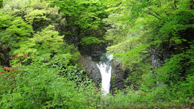 久しぶりの帰省、両親を誘って宮城県の温泉へGO！<br />新緑が綺麗ないい季節でした。<br />宿泊は白石遠刈田温泉一の坊系列「ゆともり倶楽部」