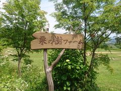 2016年7月 札幌旅行2日目♪ナイターの翌日は栗の樹ファームとゆにガーデン♪