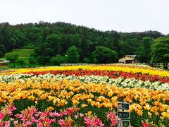 飯豊どんでん平ゆり園