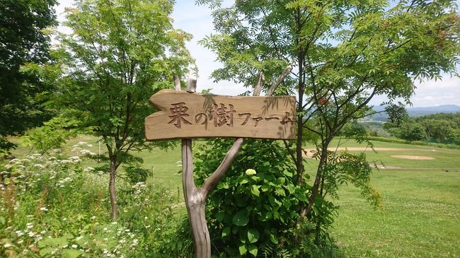 2016年7月 札幌旅行2日目♪ナイターの翌日は栗の樹ファームとゆにガーデン♪