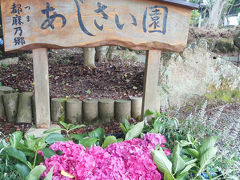 人よし 味よし 笑顔よし 八千代と都麻乃郷あじさい園へ