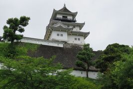 2016梅雨、静岡県の名城(18/20)：7月9日(9)：掛川城(3)：天守閣、天守閣の展示品