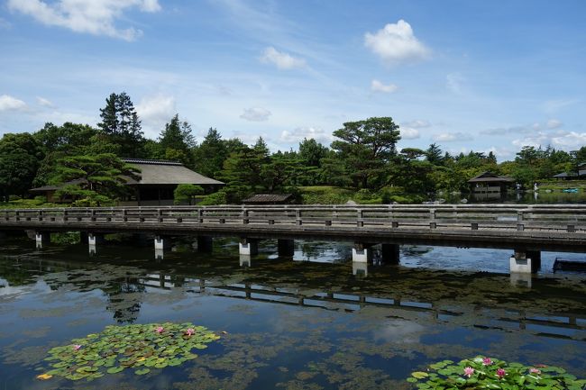 最近フォートラベルもサボリ気味の私。<br /><br />日曜日でせっかくの梅雨の晴れ間にインドアじゃつまらないということで、<br />近場の昭和記念公園にカメラ片手に出かけてきました。<br />ミラーレス一眼はお留守番、気軽にとコンデジを持ってぶーらぶら。<br /><br />広い公園を暑い中歩くのも大変かもと心配していましたが、<br />さすが昭和記念公園、緑が多いのでそよ風が気持ちよかったです。<br /><br /><br /><br /><br />カメラ：ソニー　RX100