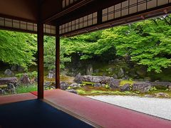 初夏の姫路・京都（３）−高台寺・円徳院−