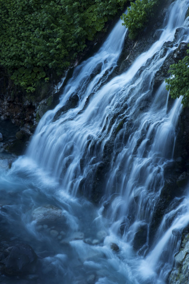 旅に出る目的は、たった１枚の写真から始まる事が多い。<br />今回も美瑛の写真家・中西敏貴さんの写真展を見てから、いつか美瑛へ行こうと決めていた矢先に、友人から北海道旅行の誘いがあり、すぐに実行！<br />旅のきっかけって、そんなものです(笑)<br /><br />航空会社：　全日空<br />レンタカー会社：　ワンズレンタカー<br />宿泊：　北海道美瑛町の農家、雨読舎（うどくしゃ）。<br />　　　　プチホテル　グレーシィ・トマム<br />旅行代理店：　楽天トラベル<br />　　　　　　　航空券＋１泊のお得手配。あとの３泊は、単独手配。