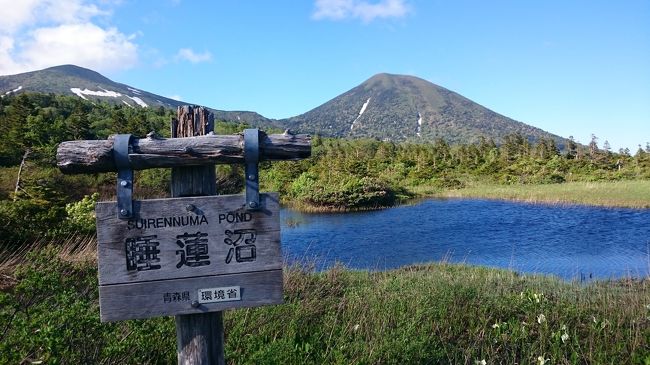 レンタカーとリゾートしらかみで青森をめぐりました。<br /><br />5月31日(日)三重県から移動→伊丹空港→青森空港→八甲田温泉→A-Factory→ランプの宿 青荷温泉(泊)<br />6月 1日(月)弘前駅→十二湖駅→森林セラピー（十二湖）→アオーネ白神十二湖(泊)<br />6月 2日(火)十二湖駅→弘前駅→青森空港→名古屋小牧空港→三重県へ