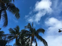 夫婦2人ハワイ・ワイキキの旅2016　～4日目～