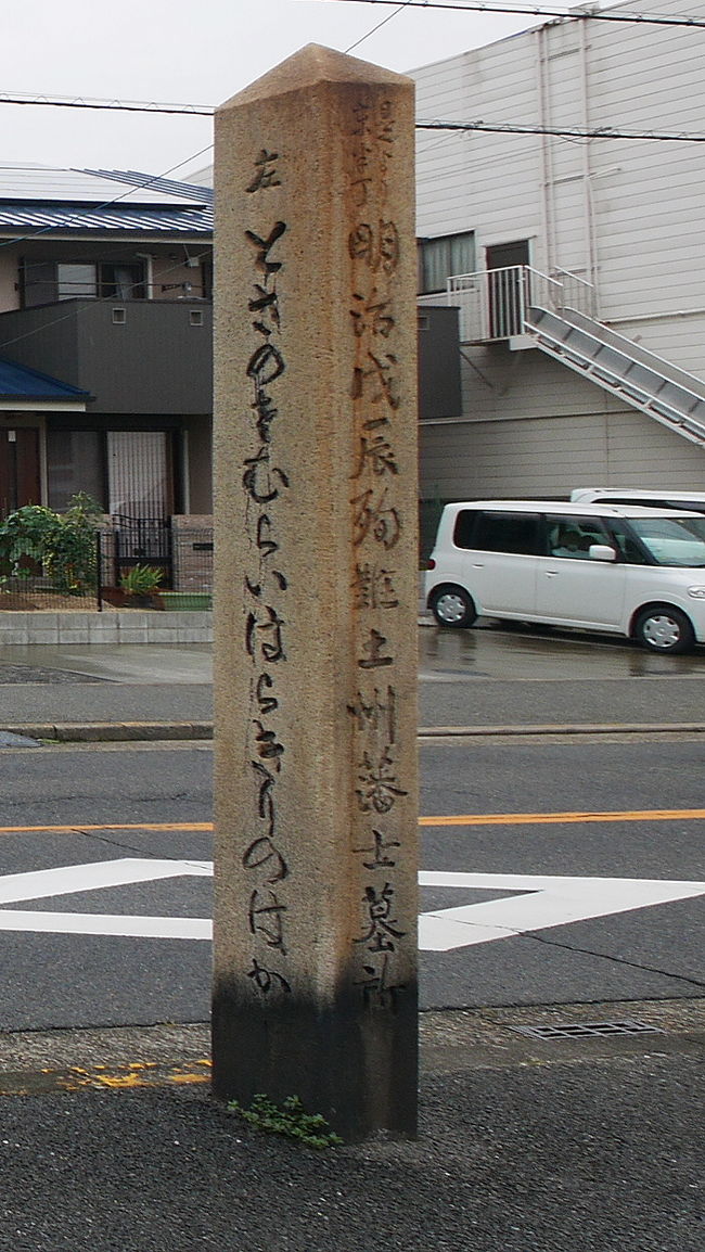 群馬出張から羽田発1100のNH21便で伊丹へ.雨の日と事故で予想外に羽田まで時間がかかる.伊丹1221着 仕事は1900からなので少し時間がある.同伴者に本日の仕事先難波のホテルスイス南海大阪まで荷物を持って行ってもらい,天王寺で別れる.レートがいい泉州池田銀行で1600ユーロを買う(英国が残留すると思いユーロを買った.損をした).<br />その後時間があるので,堺を散歩することにした.雨もひどく蒸し暑い.あせだくだくのひどい日だ.<br />堺では百舌鳥古墳群は行ったことがあるが,旧堺には行ったことがない.南海高野線堺東駅で降り,まず観光案内書で簡単なパンフレットをゲット.街歩きを開始する.小さなお寺を訪れつつ,菅原神社,妙国寺,善長寺,本願寺堺別院,十輪院と街歩き.小さなお寺が多いのとそのお寺が大変由緒のあるところが多いのにも驚く.もし空襲に会っていなかったら本当にすごいところだと思う.<br />特にうれしかったのは徳川家康が本能寺の変の際に宿泊していた妙国寺と三好一族の三好宗三の墓にお参りできたこと.堺事件で切腹した土佐藩士の慰霊碑などが今も生々しく事件を伝えていることだった.<br />何気ない街並みに歴史の重みを感じるところだ<br />1512 北に行くにしたがって空襲にやられなかった堺らしい風景となる.まず瓦塀の立派な月蔵寺,山口家住宅は外からは小さな家だが,中に入ると素晴らしい.17世紀からの家だ.主屋と新築部分との雰囲気の違いも良くわかる.さらに綾之町から北へ.古い家が立ち並ぶディープな街,鉄砲鍛冶屋敷,清学院と見学したが,古い家が結構多い.雨がひどかったが散歩してよかった.<br />1612 阪堺電車高須神社駅へむかう<br />詳細はsuomita2<br />群馬・大阪連続出張2-雨の中堺街歩き1 菅原神社 妙国寺 善長寺 本願寺堺別院 十輪院と歩く<br />http://4travel.jp/travelogue/11147111<br />群馬・大阪連続出張3-雨の中堺街歩き2 月蔵寺,山口家住宅,鉄砲鍛冶屋敷,清学院など<br />http://4travel.jp/travelogue/11147340