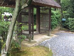 梅雨の時期に苔の美しさを感じたくて