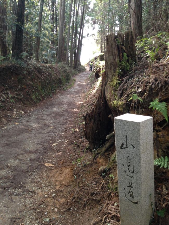 桜井駅から歩き始めて、石上神宮から桧原神社を経て、青垣ビジターセンターまで。帰りは長柄駅から奈良駅に出ました。