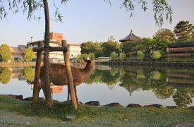 うるわしの奈良　ひとり旅　（5）奈良の街をぶらぶら