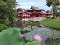 「宇治・和束」　日本遺産の和束の茶畑、世界遺産の平等院と宇治上神社と宇治周遊の旅