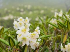 ずーっとガッスガスだった関東最高峰･日光白根山(2,578m)日帰り登山