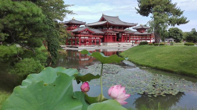 自転車を使った京都宇治の旅です。<br /><br />まず朝一に和束（わづか）町でずーっと気になってた宇治茶の茶畑を探して、その後平等院裏の駐車場（700円/1日）に車を止め、自転車で宇治の名所を一周するという内容。<br /><br />今回は和束町原山の茶畑〜平等院（600円）〜縣神社〜宇治神社〜恵心院〜興聖寺〜宇治上神社〜源氏物語ミュージアム（500円）〜三室戸寺（500円）〜黄檗山萬福寺（500円）と巡ってきました。<br /><br />いやぁ、宇治最高っす。<br />今回もいい旅でした。<br />