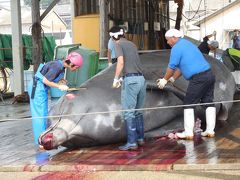 千葉県はディズニーリゾートだけではない・房総和田浦でクジラの解体を見学する。