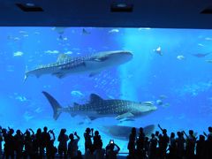 2016沖縄（古宇利島、美ら海水族館編）