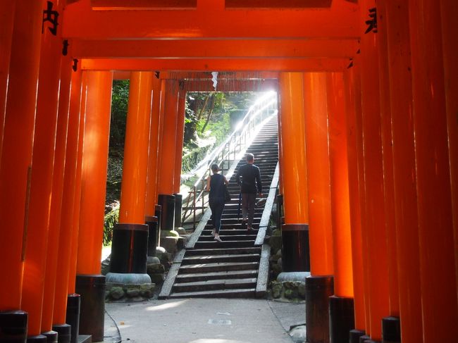 伏見稲荷で登山する 伏見 京都 の旅行記 ブログ By Y 0236さん フォートラベル