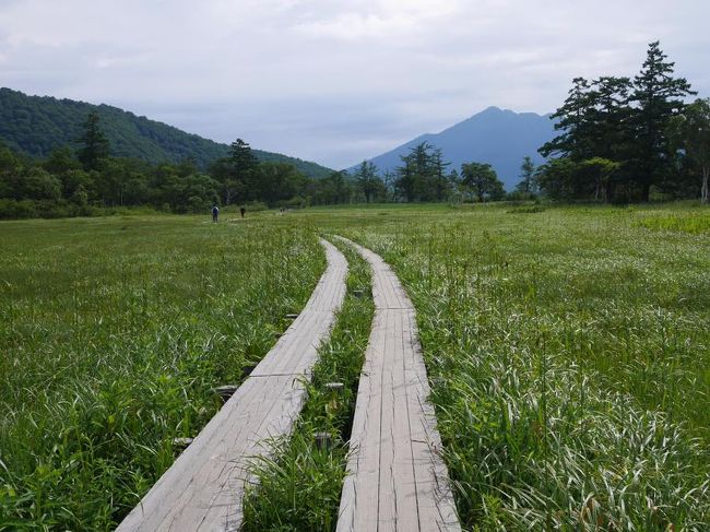 「夏がくーれば思い出すぅーーーーー<br />　　はるかな尾瀬〜ーーー遠い空ーーーーー」<br /><br />幼い頃・・・誰もが口ずさんだと思われるこのお歌の場所にいってきました。<br /><br />子供を連れて。