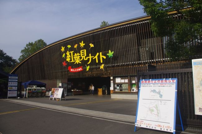 埼玉の武蔵丘陵森林公園で紅葉のライトアップを見に・・・<br />ついでに百見百穴・川越方面へ。。。