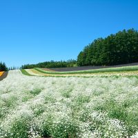 ２０１６年夏　北海道の旅　富良野・美瑛から旭岳で夏景色を楽しむ旅～前編～