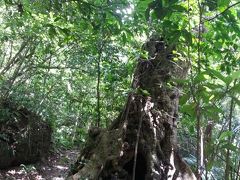 計画なしで石垣島　２日目