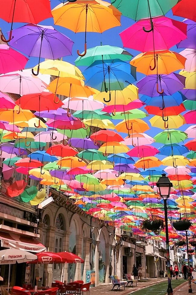 ■毎年７月になるとポルトガルの小さな町がカラフルな色で飾られる。<br />ここ、アゲダには多くの観光客が訪れます。<br />2012年から始まったアンブレラ・スカイ・プロジェクト、商店街の通りは約6千本の傘で埋め尽くされカラフルなアーケードとなっている。雨は殆ど降らないので傘は日除けの要素が強い。<br />１時間ほど商店街の傘の下を散策しました。<br />通り抜けると再び暑い日差しに照りつけられ、思わず木陰に飛び込みました。<br /><br />_/_/_/　北スペイン・ポルトガルの旅程　_/_/_/<br /><br />□　7/12 自宅⇒成田（前泊）<br />□　7/13　成田国際空港発（ルフトハンザ航空 LH 711便）⇒フランクフルト経由（ルフトハンザ航空 LH 1144便） ⇒ ビルバオ（ビルバオ空港）着 ⇒ ビルバオ泊<br />□　7/14　サン・セバスチャン市内観光 ⇒ レオン自由行動 ⇒ レオン泊<br />□　7/15　サンティアゴ・デ・コンポステーラ観光 ⇒ 巡礼の道 ⇒ 歓喜の丘 ⇒ 旧市街散策　⇒ カテドラル ⇒ ポルト泊<br />■ 7/16　ポルト歴史地区観光 ⇒　サンフランシスコ教会 ⇒ ボルサ宮 ⇒ ワイナリーにてポートワインを試飲 ドロウ川クルーズ ⇒ アゲダ自由散策 ⇒ コインブラ市内観光 ⇒ ナザレ泊<br />□　7/17　ナザレ自由散策 ⇒ オビドス自由散策 ⇒ リスボン市内観光 ⇒ ⇒ リスボン泊<br />□　7/18　ロカ岬 ⇒ シントラ観光 ⇒ リスボン自由行動 ⇒ リスボン泊<br />□　7/19　リスボン発（ルフトハンザ航空 LH 1173便）⇒ フランクフルト経由（ルフトハンザ航空 LH 710便)　 <br />　　　　　　　⇒　機中泊 <br />□　7/20　⇒ 成田国際空港発（ＡＮＡ 337便）⇒ 中部国際空港着 ⇒ 自宅