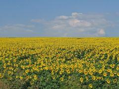 真夏のブルガリア・ルーマニア【その４】崖上の街ベリコ・タルノボからヒマワリ満開の国境へ