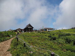 雲上のお花畑「伊吹山」へ