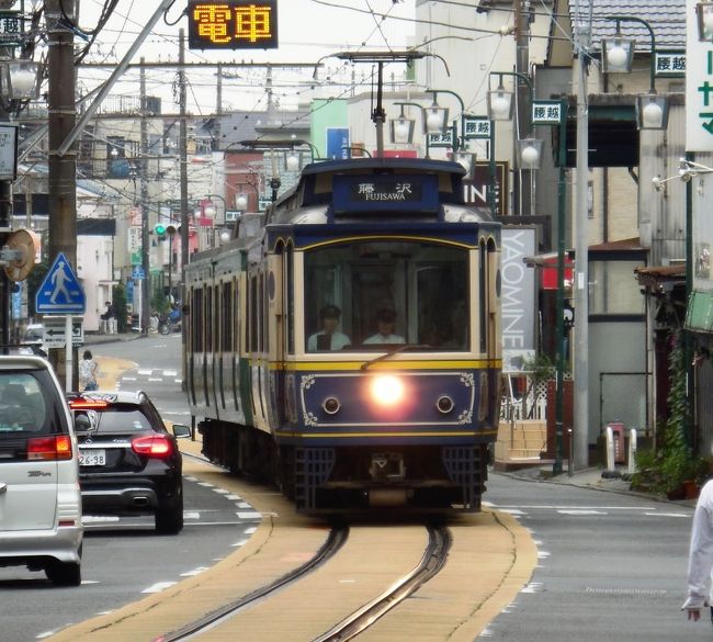 　7月の3連休、天候はいまいちだが所要があったのでそのついでに、モノレールと江ノ電の乗り鉄、撮り鉄、そしておまけに湘南鎌倉の面白いスポットを数点廻ってきた。<br />　何かイベントがあったのか、土曜日の昼頃から鎌倉市内はえらく混雑していたのが印象的。<br />　今回は用事があった関係で日帰りではなく、大船に一泊する形となった。<br />　大船では、早朝の朝練（鉄道写真撮影）に便利な旅館を選んだ。<br />　湘南モノレールで江ノ島-片瀬海岸-江ノ電の写真と乗車-鎌倉では、長谷寺・銭洗弁財天などを見て回る。<br />　鎌倉から横須賀線で帰途、というスケジュールである。<br />　長谷寺に、洞窟を利用したお堂があることは、今回行ってみて初めて知った。思いがけない収穫である。<br />　鎌倉仏教というのは、洞窟に意外なほどなじみがあるのだ。まあその代表が、銭洗弁財天と大船田谷のユガ洞。ユガ洞には次回行って見ようと思う。詳細は写真をご覧ください。